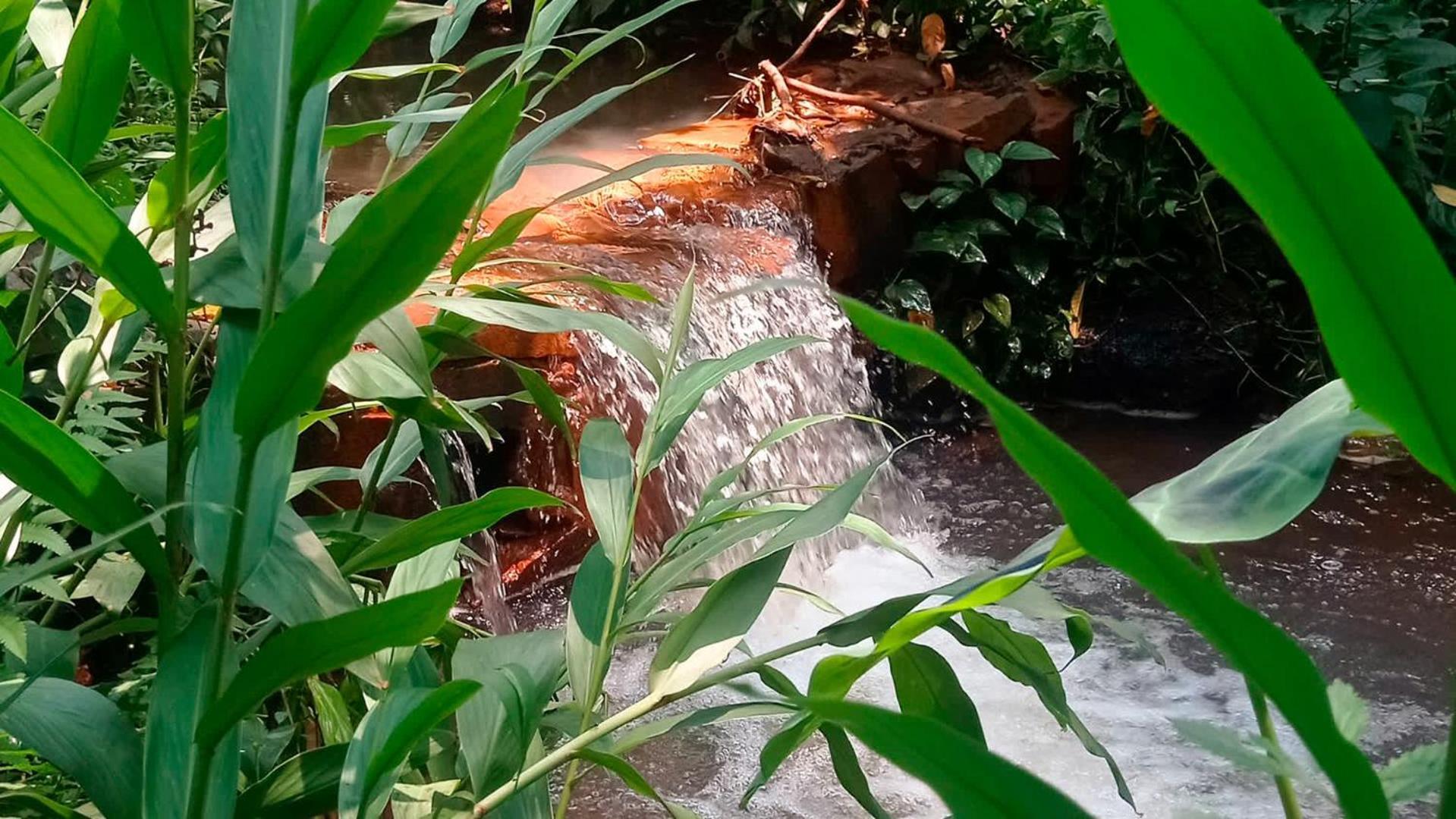 פוז דו איגואסו Interludium Iguassu Convention Hotel מראה חיצוני תמונה